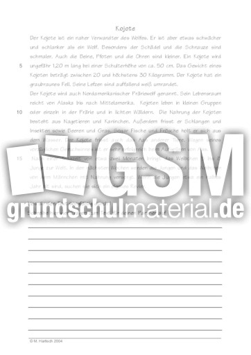 Kojote.pdf
